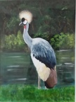 Crested Bird  -  Acrylic  